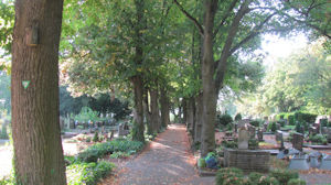 Albisheim new cemetary 1.jpg